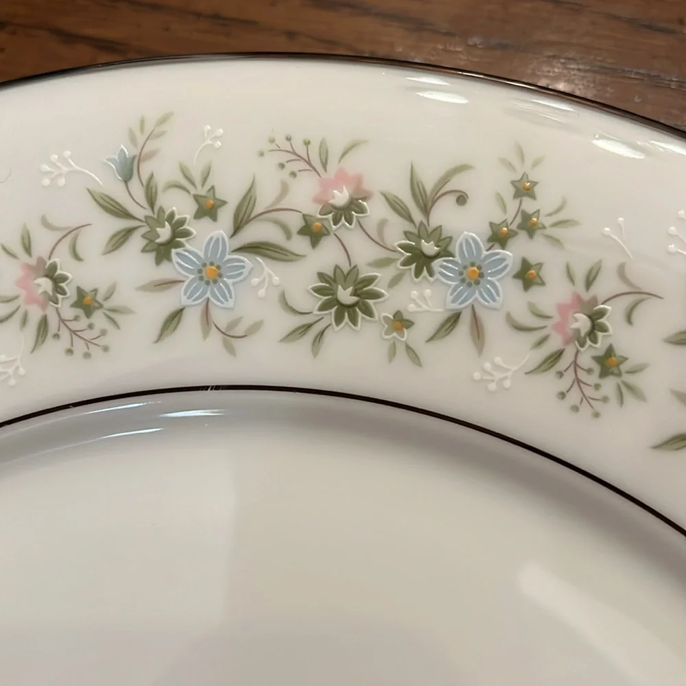 Noritake savannah china